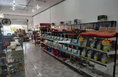 Pet shop a venda com banho e tosa e clínica veterinária em santo andré no abc