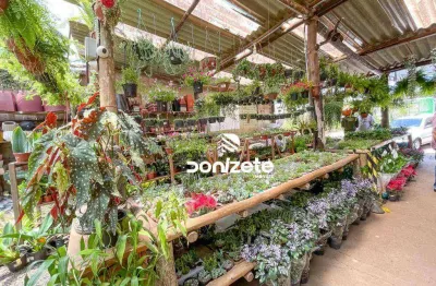 Garden comercio de plantas ornamentais e acessórios para jardinagem