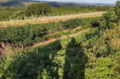 Fazenda com 3 salas à venda na Avenida Major Rangel, 1, Centro, Avaré
