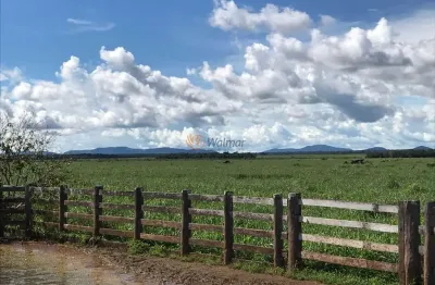 Extraordinária fazenda à venda em santa terezinha, mt, 20.303,00 hectares.