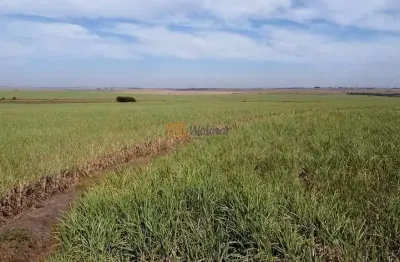 Fazenda de luxo à venda em araçatuba-sp: 4 quartos, 1 suíte, 3 salas, 4 banheiros, 20 vagas de garagem, 402 hectares de área.