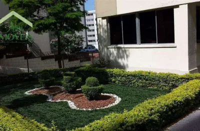 Apartamento com 2 quartos à venda na Rua Antônio Domingues Freitas, 115, Vila Amélia, São Paulo