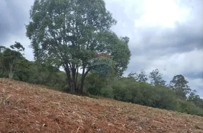Terreno à venda no Bairro dos Tuncuns, Pedra Bela 