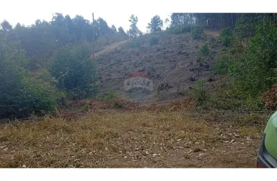 Terreno à venda no Centro, Socorro 