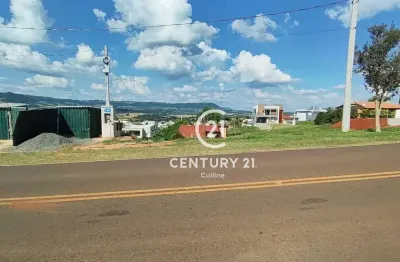 Terreno à venda com vista permanente, 443 m² por r$ 80.000 - condomínio ninho verde ii - pardinho/sp