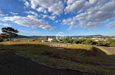 Terreno em condomínio fechado à venda na Rod. Presidente Castello Branco Km 196, 13131, Ninho Verde, Pardinho