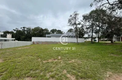Terreno em condomínio fechado à venda na Rod. Presidente Castello Branco Km 196, 2020, Ninho Verde, Pardinho