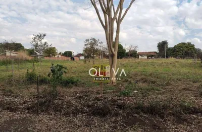 Chácara à venda, 1000 m² por r$ 150.000,00 - parque das nascentes (zona rural) - são josé do rio preto/sp