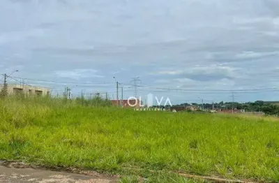 Terreno à venda, 220 m² por r$ 68.000,00 - jardim dos ipês - bady bassitt/sp