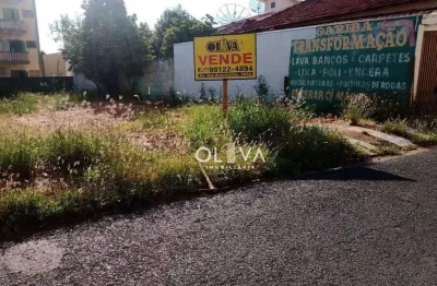Terreno, 341 m² - venda por r$ 250.000,00 ou aluguel por r$ 1.550,00/mês - vila angélica - são josé do rio preto/sp