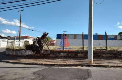 Terreno para alugar, 884 m² por r$ 2.450,00/mês - jardim são roque - americana/sp
