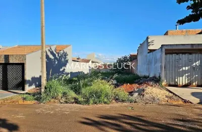 Terreno à venda no bairro jardim padovani - londrina/pr, norte
