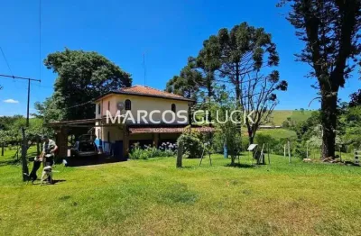 Chácara / sítio com 3 quartos à venda na Área Rural de Londrina, Londrina 