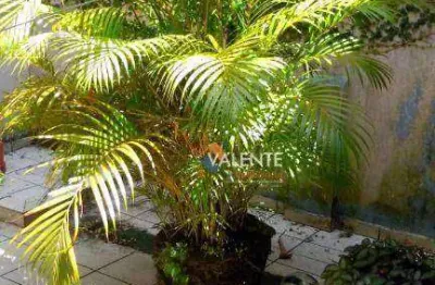 Sobrado com 3 dormitórios à venda por r$ 750.000,00 - centro - são vicente/sp