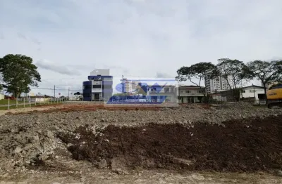 Terreno comercial para alugar na Avenida Senador Souza Naves, Três Marias, São José dos Pinhais