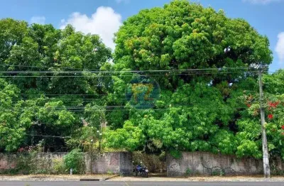 Terreno comercial para alugar em zona rural, aquiraz , 5717 m2 por r$ 8.000