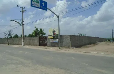 Terreno comercial para alugar no centro, horizonte , 8878 m2 por r$ 12.000