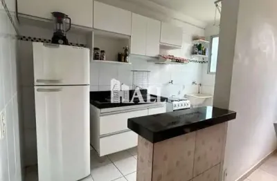 Apartamento com 2 quartos à venda na Rua Gladstone de Abreu Cardoso, Parque das Flores II, São José do Rio Preto