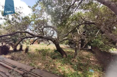 Terreno à venda, 1600 m² por r$ 2.500.000,00 - lagoa sapiranga (coité) - fortaleza/ce