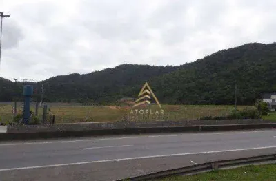 Terreno para alugar, 40000 m² por r$ 150.000,00/mês - várzea do ranchinho - balneário camboriú/sc