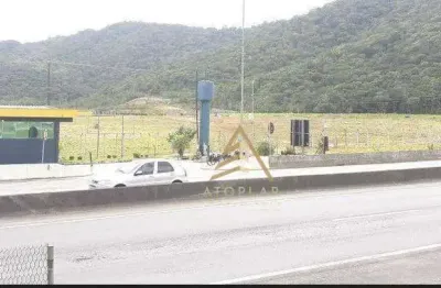 Terreno para alugar, 40000 m² por r$ 150.000/mês - várzea do ranchinho - balneário camboriú/santa catarina