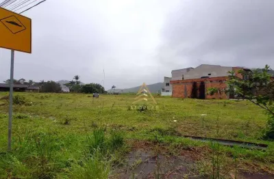 Terreno à venda, 1442 m² por r$ 1.780.000,00 - rio pequeno - camboriú/sc