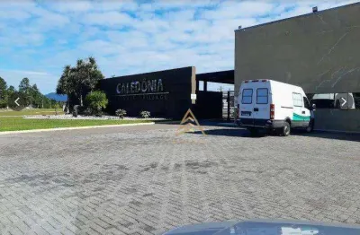 Terreno à venda, 378 m² por r$ 865.000,00 - centro - camboriú/sc