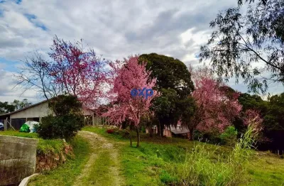Terreno à venda na ..., são pedro, contenda por r$ 1.200.000