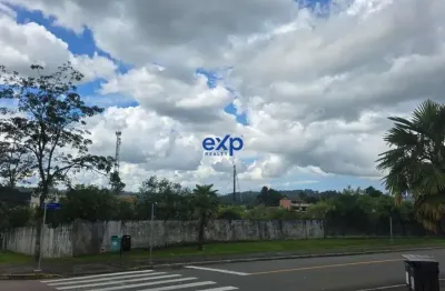Terreno comercial à venda na goiania, 1, centro, piên por r$ 3.000.000