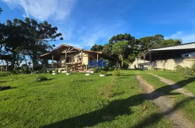 Chácara / sítio com 3 quartos à venda na pr 419, 2659, leão, agudos do sul por r$ 799.999