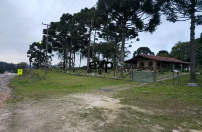 Chácara / sítio com 3 quartos à venda na pr 419, 2659, leão, agudos do sul por r$ 799.999