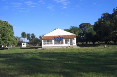 Fazenda à venda na fazenda sacramento, 100, centro, corumbá por r$ 68.000.000