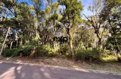 Terreno à venda na nestor ruschel, 505, floresta, gramado por r$ 650.000