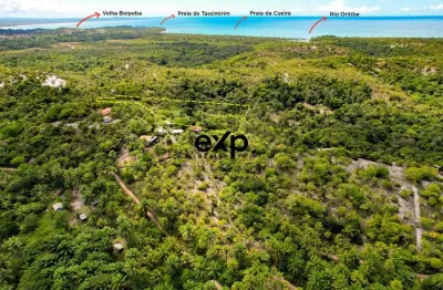 Terreno à venda na ilha de boipeba - região de monte alegre, 12, ilha de boipeba, cairu por r$ 450.000