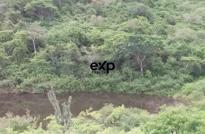 Fazenda à venda na fazendas santamaria i e ii, 1, santa maria i e ii, mundo novo por r$ 8.100.000