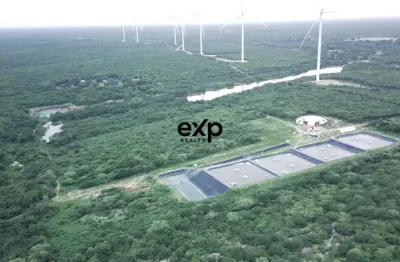 Fazenda à venda na estrada carroçável traíri, 1, canaan, trairi por r$ 7.000.000