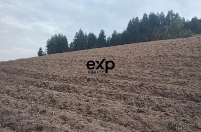 Chácara / sítio com 1 quarto à venda na estrada das serrarias, 1, leão, agudos do sul por r$ 265.000
