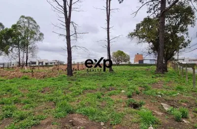 Terreno à venda na avenida antônio rodrigues teixeira júnior, 272, jardim carvalho, ponta grossa por r$ 2.994.975