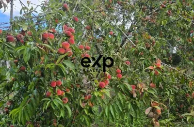 Chácara / sítio com 2 quartos à venda na Estrada Secundaria Rio da Varzea, 2, Rio Da Várzea, Quitandinha por R$ 219.999