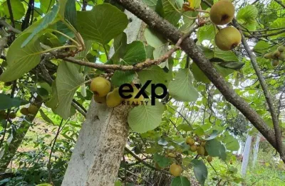 Chácara / sítio com 2 quartos à venda na Secundaria Rio da Varzea 1, 2, Rio Da Várzea, Quitandinha por R$ 219.999