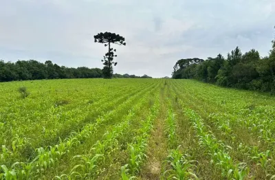 Terreno à venda na Rua Antônio Salin, Umbará, Curitiba