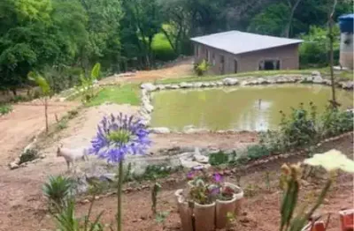 Chácara para venda em piedade, corrêas, 2 dormitórios, 2 banheiros, 4 vagas