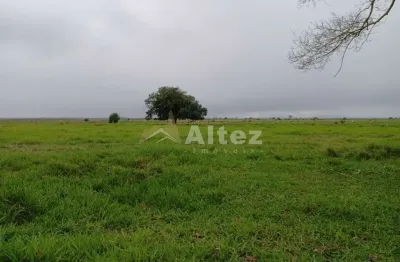 Fazenda 175 alqueires (847 ha), pastos, água abundante, guapimirim, rj