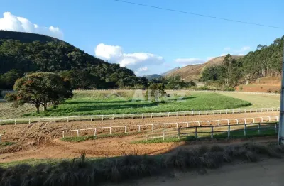 Haras em funcionamento, 157 baias, pista com 1 km, serra do capim, teresópolis, rj