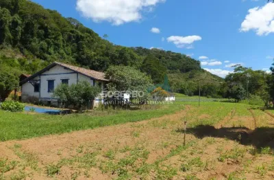Fazenda com 101 ha, 3 nascentes, providência, teresópolis, rj
