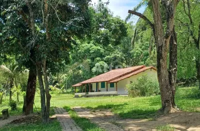 Fazenda 100 alq. (4.840.000 m²) com pastos para gado, silva jardim, rj