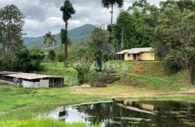 Sítio 544.500m2, 2 lagos , 2 nascentes, piscina natural e entreposto de ovos. friburgo