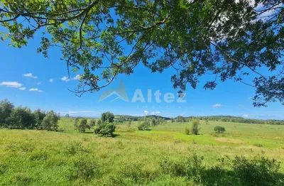 Fazenda 52 alqueires (2.516.800 m2), 400 cabeças, água abundante, araruama, rj