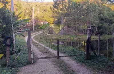 Terreno residencial à venda, centro, biritiba mirim - te0130.