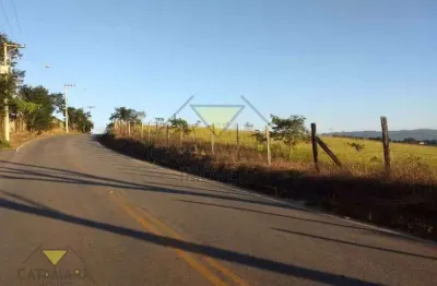 Terreno à venda, 20000 m² por r$ 1.300.000,00 - braz cubas - mogi das cruzes/sp